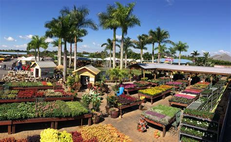 nursery flamingo road|flamingo road nursery davie florida.